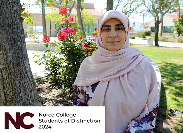 Parisa Tajoddini Parisa Tajoddini