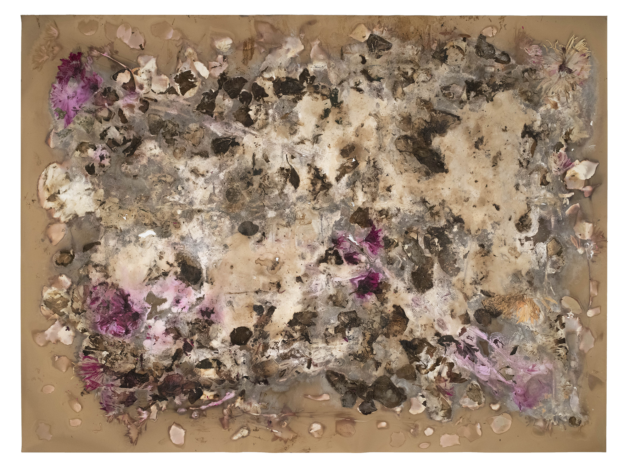 John Steck Jr., "Coming up Roses (Quebec City)", long duration photogram on gelatin silver paper, 2018.