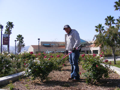 grounds worker