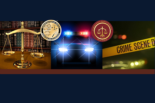 Administration of Justice program banner