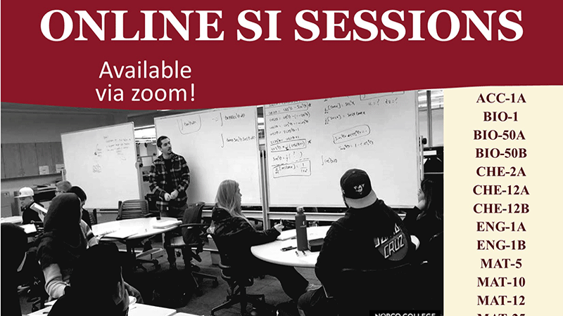 Online SI Sessions