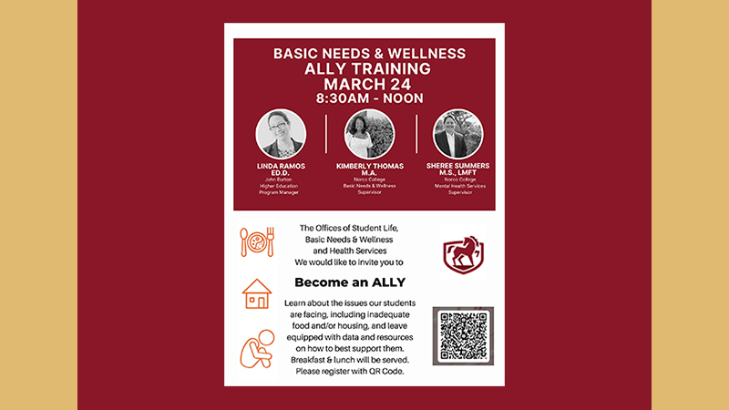 Basic Needs & Wellness: ALLY Training