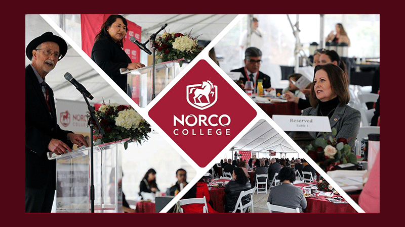 2024 Industry Partners & Awards Breakfast featured image