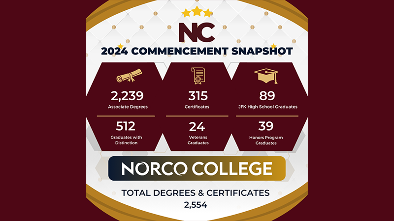 An infographic displaying the amazing amount of graduates.