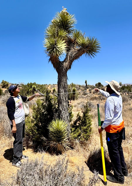 Norco College Geography Students Conduct Field Research in Joshua Tree National Park Norco College Geography Students Conduct Field Research in Joshua Tree National Park