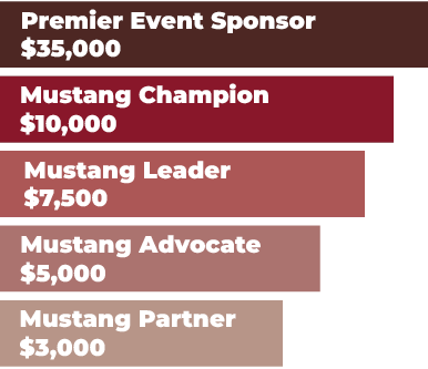 Sponsorship Levels