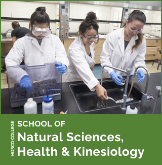 School of Natural Sciences, Health & Kinesiology banner with image