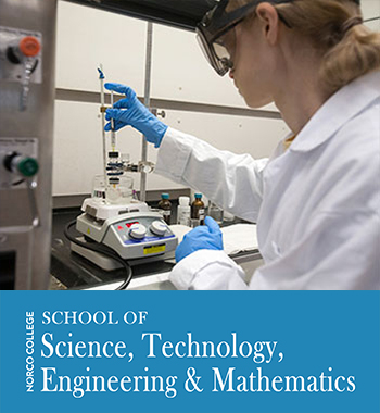 School of Science, Technology, Engineering & Mathematics