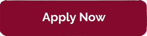 Apply Now for Admission to College button