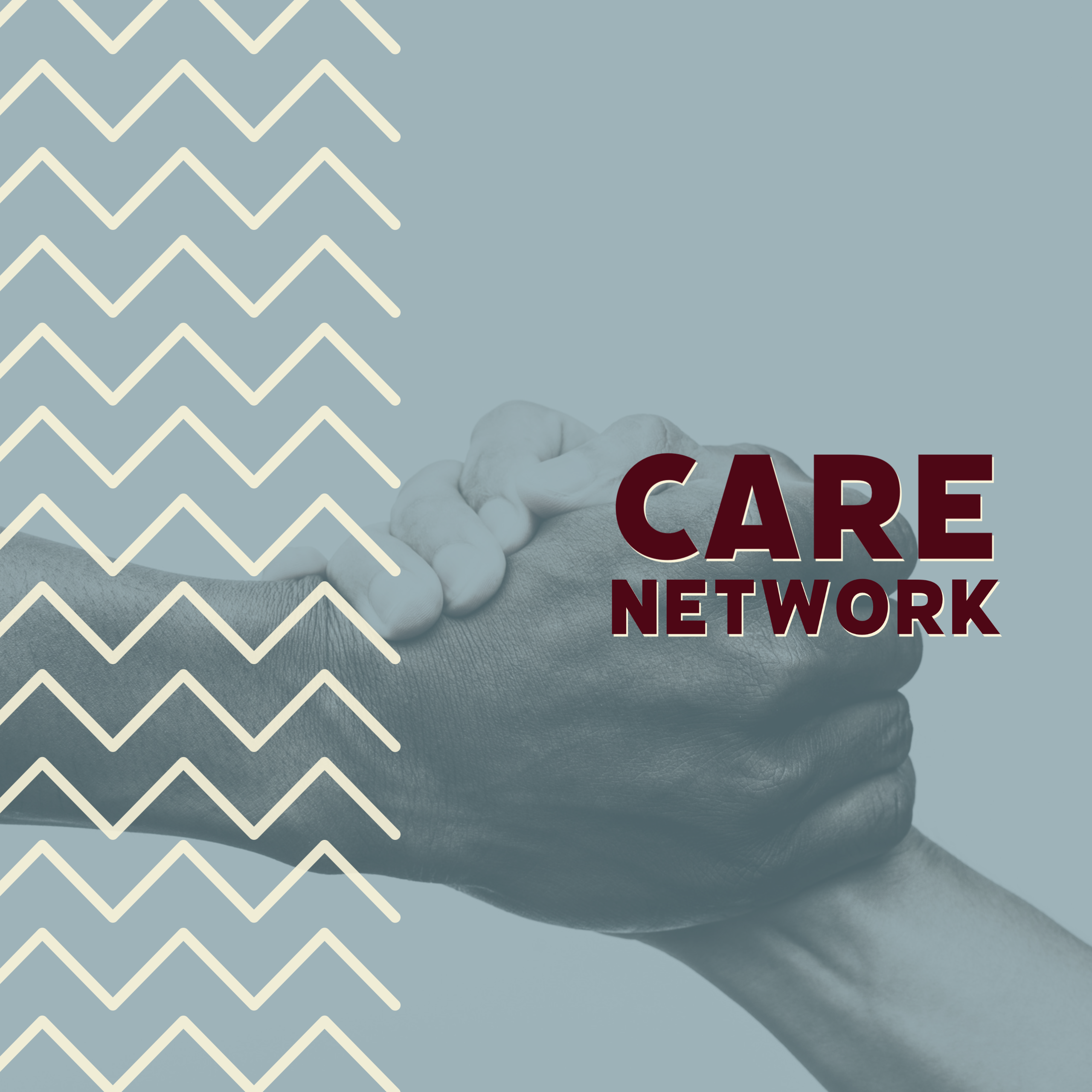 CARE Network Link.png