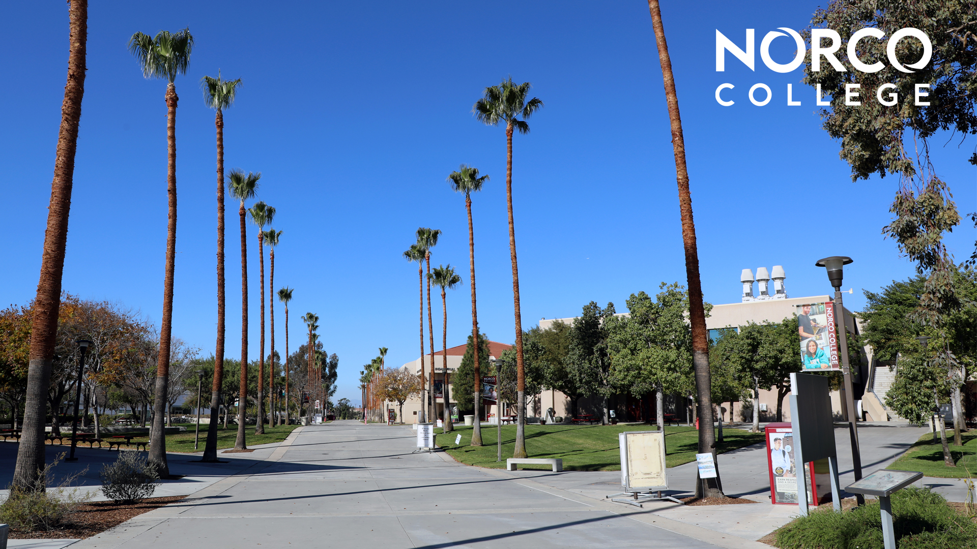Norco College Palm Pathway Zoom Virtual Background