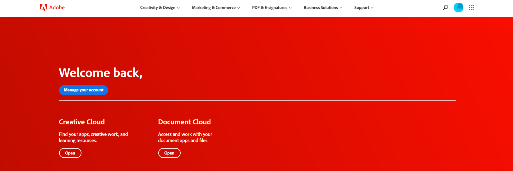 Adobe Screenshot 4