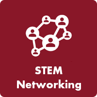 button_stem_networking.png