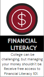 Financial Literacy button