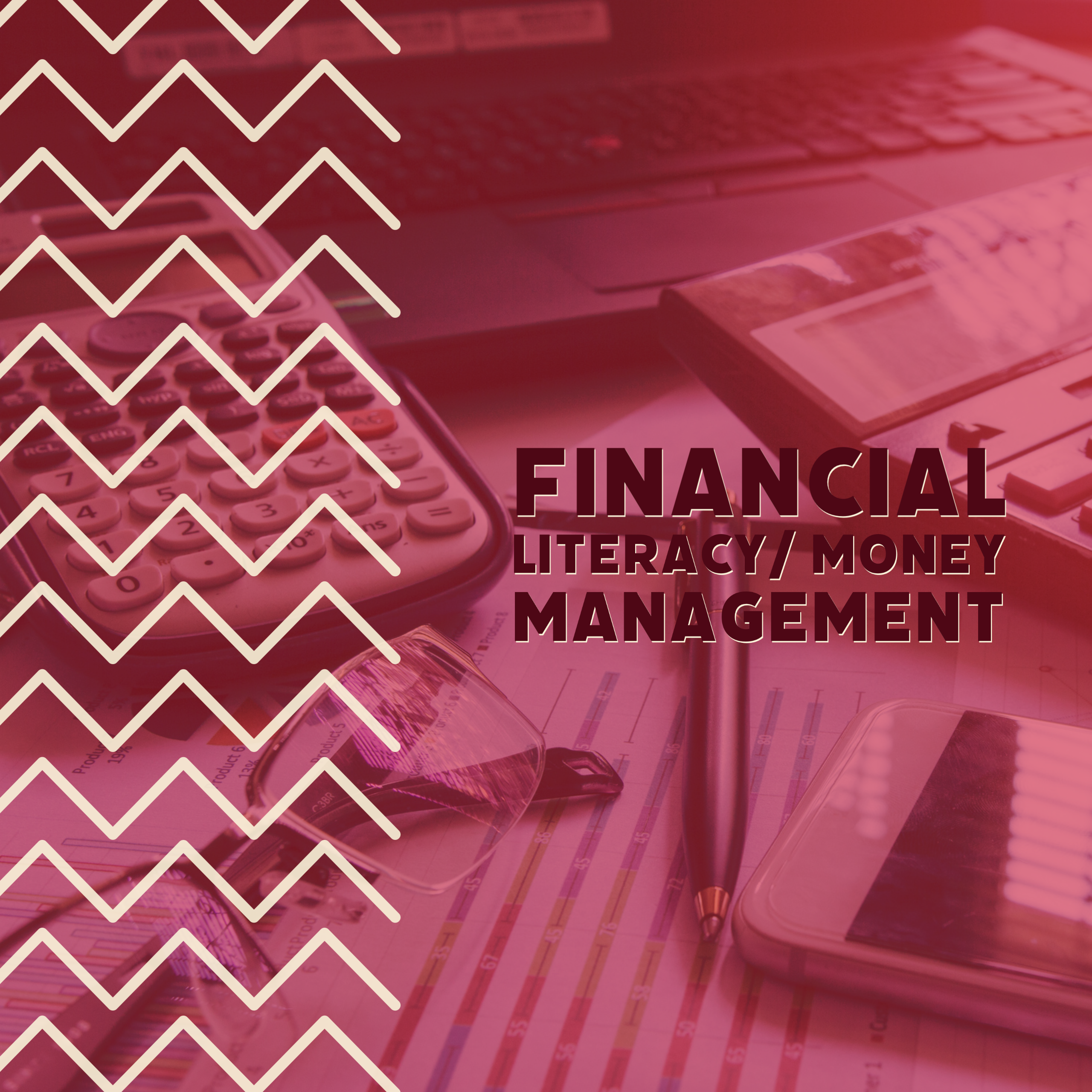 Financial Literacy and Money Management Link