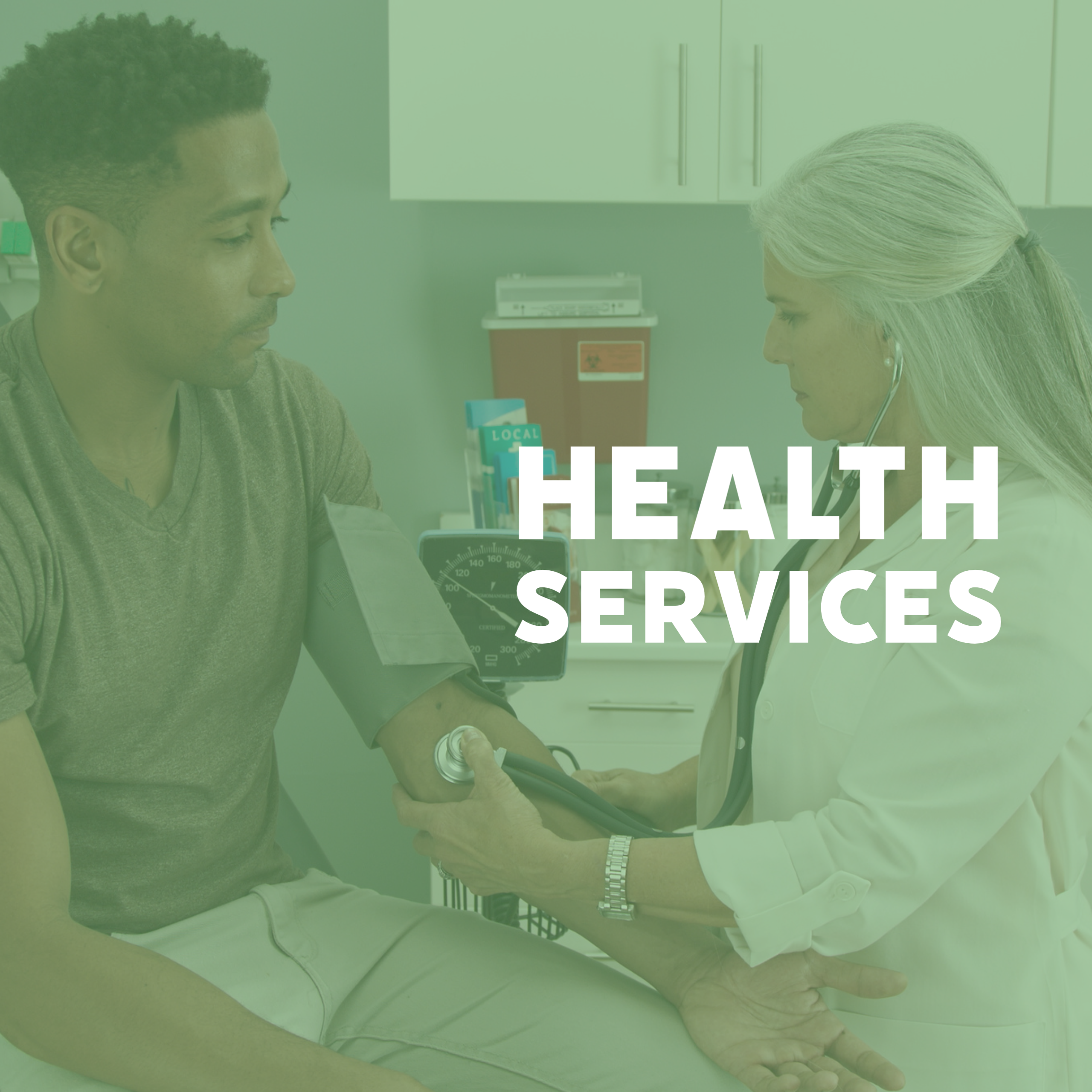Health Services Link
